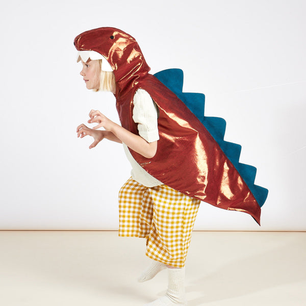 Dinosaur Costume Image2