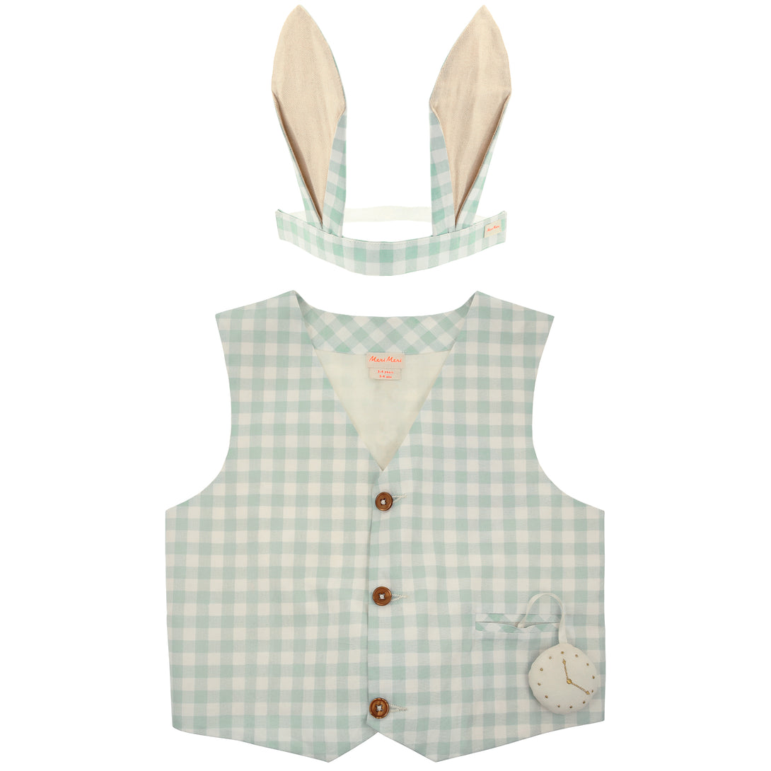 Our Easter outfit of bunny ears and a gingham waistcoat with pompom tail is gorgeous. Image6