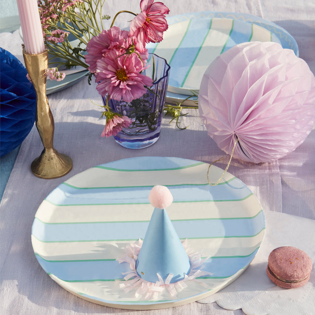 Our recycled plastic plates, with coloured stripes, are reusable for party after party.