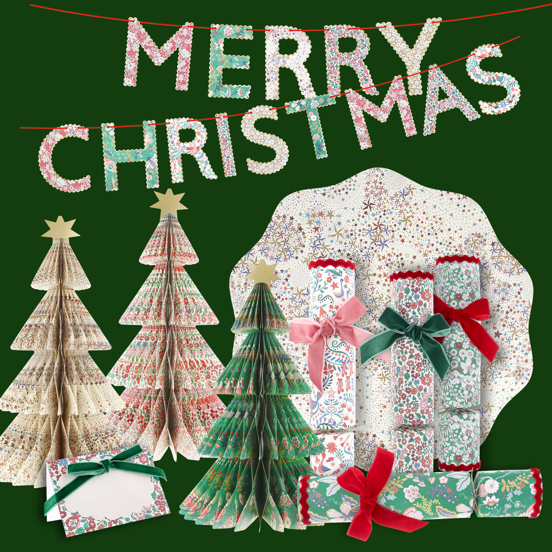 Enjoy a Meri Meri and Liberty Christmas collaboration with our placecards, place mats, no-snap crackers, 3D trees and festive garland. 