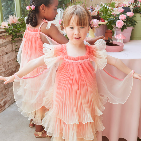 Our fairy costume includes a pink fairy dress and wings and a star wand.