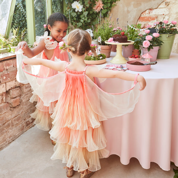 Our fairy costume includes a pink fairy dress and wings and a star wand. Image2