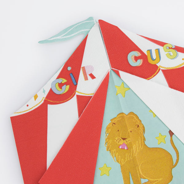 Our circus party set has all you need to make your party a success, with a circus garland, plates, napkins, cups and party bags.  Image6