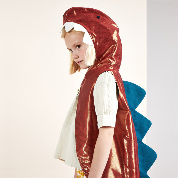 Dinosaur Costume Image5