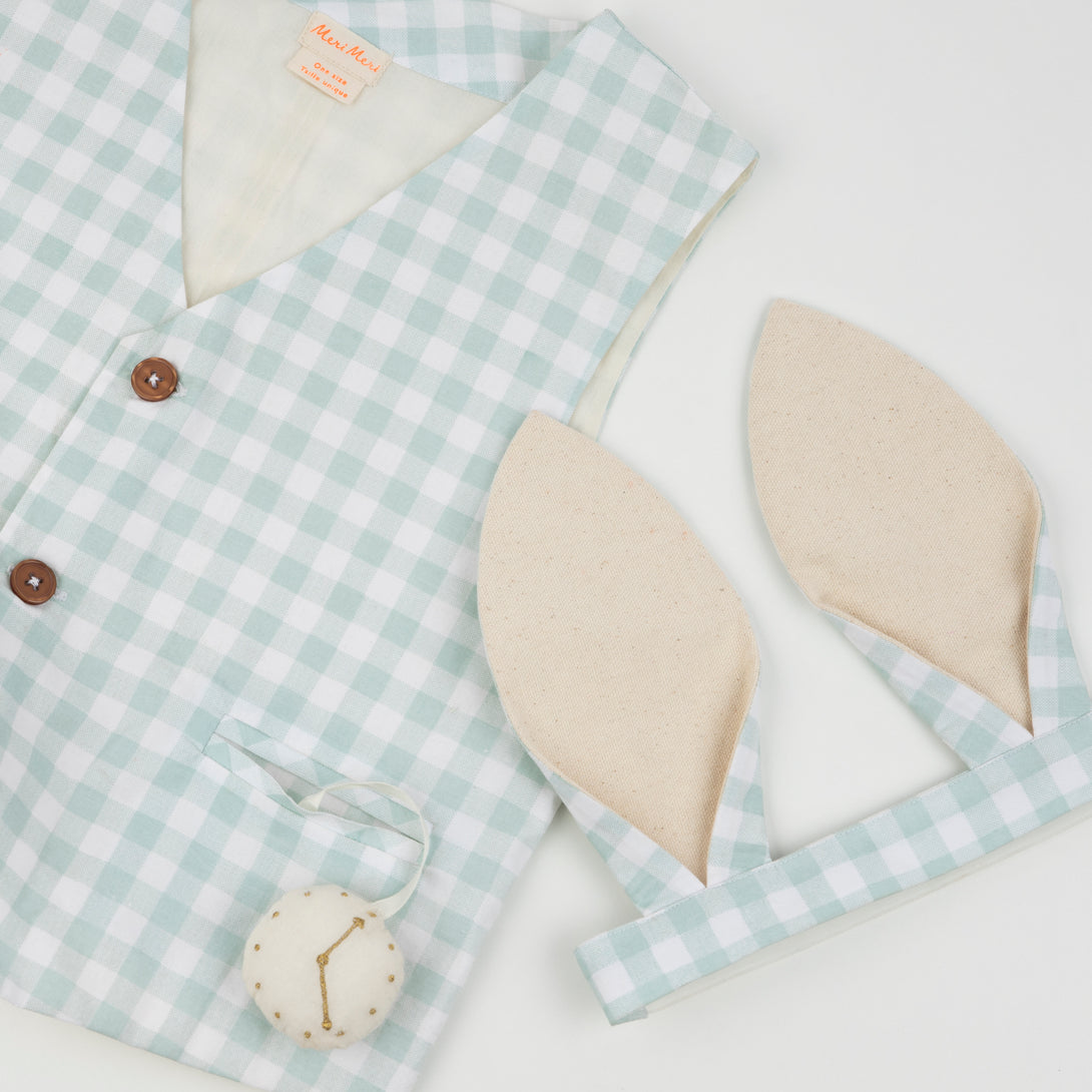 Our Easter outfit of bunny ears and a gingham waistcoat with pompom tail is gorgeous. Image3
