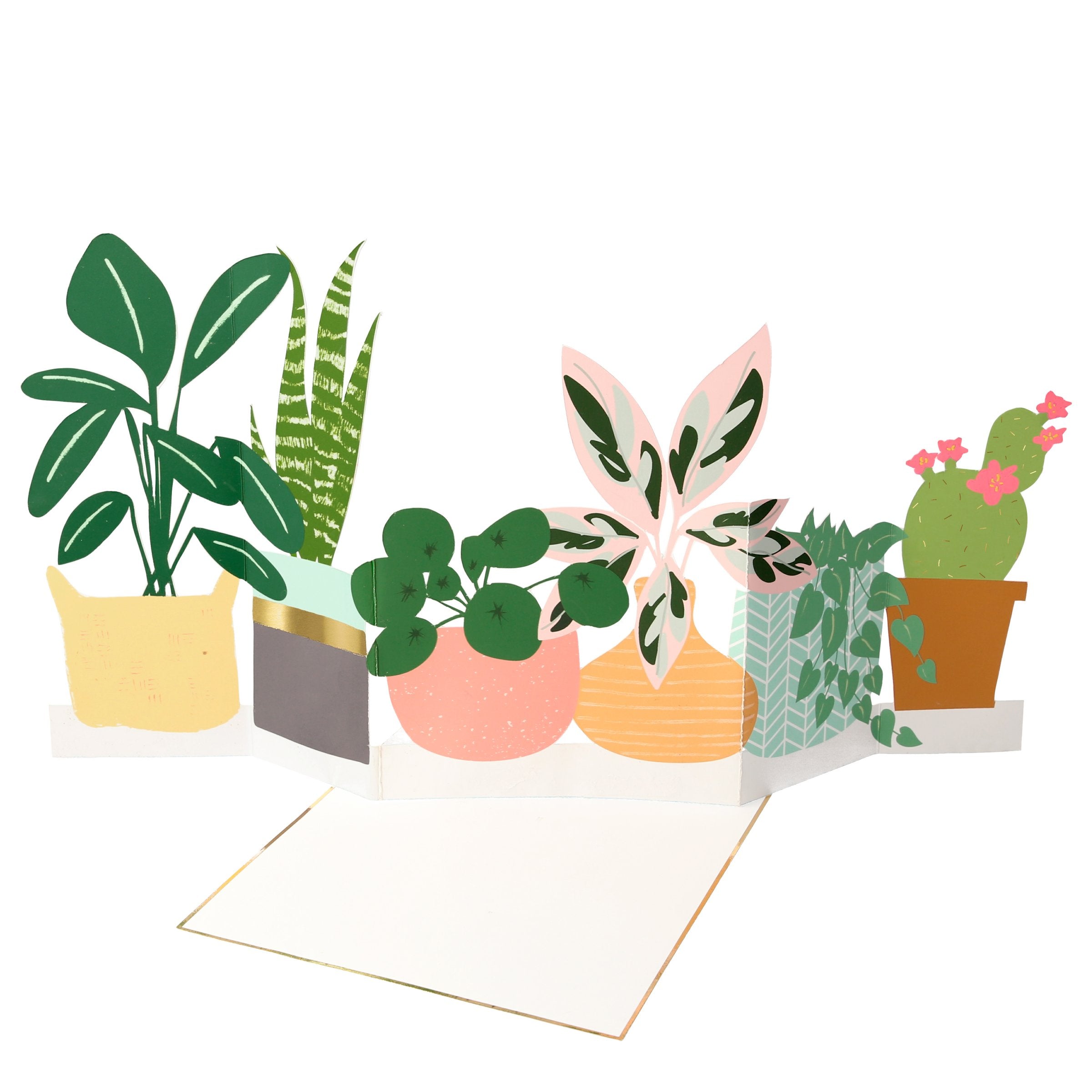 Send a message of your choice, in our blank card that opens up, to a special someone who loves plants.