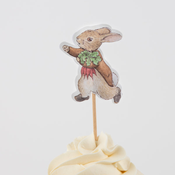Our cupcake decorating kit includes Peter Rabbit and frienda cupcake toppers and green gingham cupcake cases. Image5
