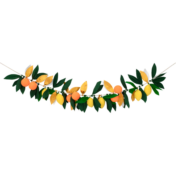 Citrus Fruit Garland Image4