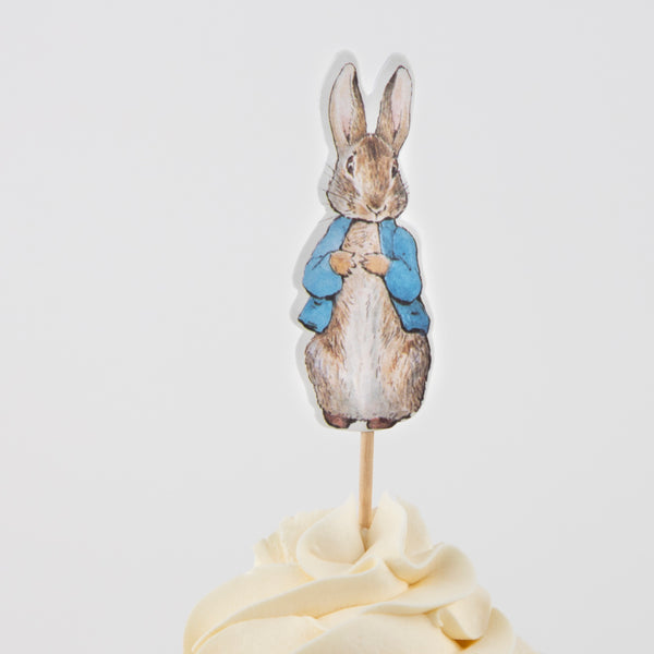 Our cupcake decorating kit includes Peter Rabbit and frienda cupcake toppers and green gingham cupcake cases. Image3