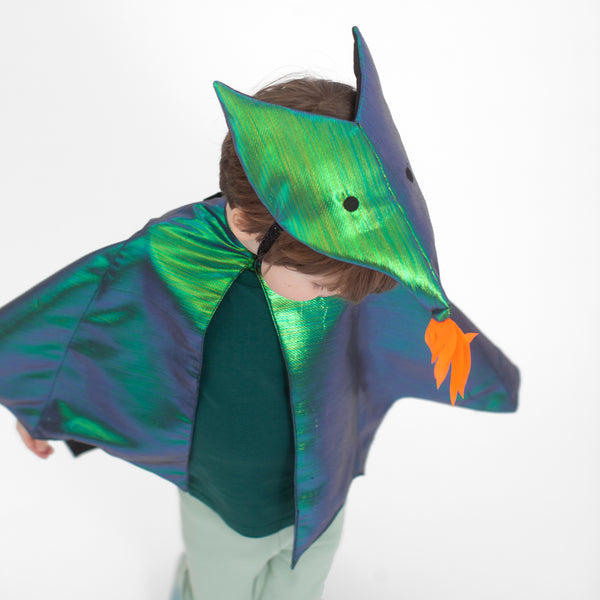 Dragon Costume Image3