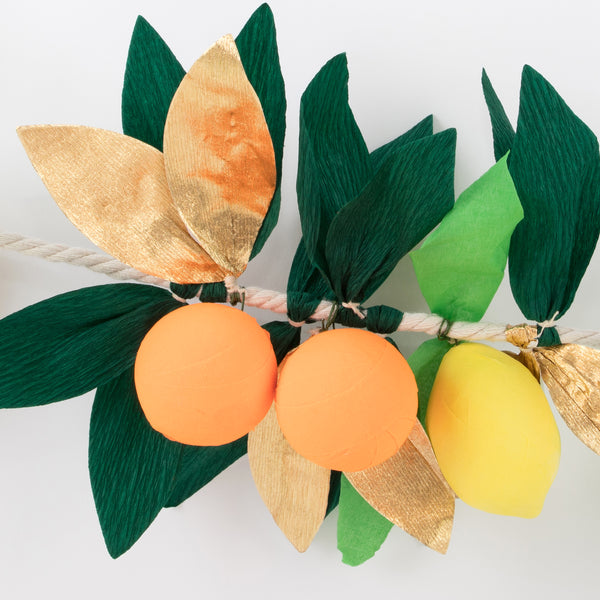 Citrus Fruit Garland Image3