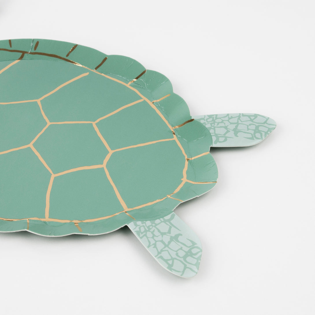 Turtle Shell Plate Turtle Animal Plates – Meri Meri EU