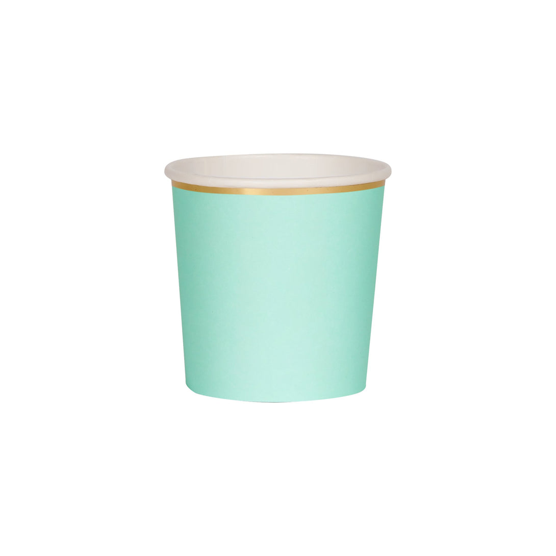 Mint Tumbler Cups