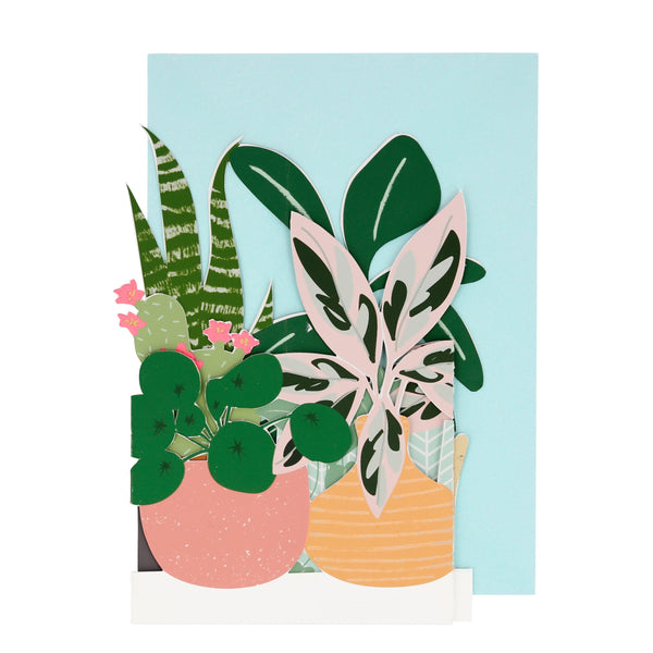Send a message of your choice, in our blank card that opens up, to a special someone who loves plants. Image2