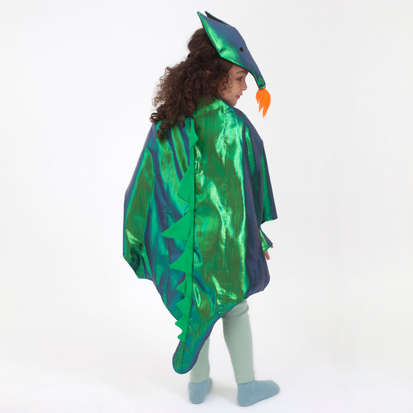 Dragon Costume Image4