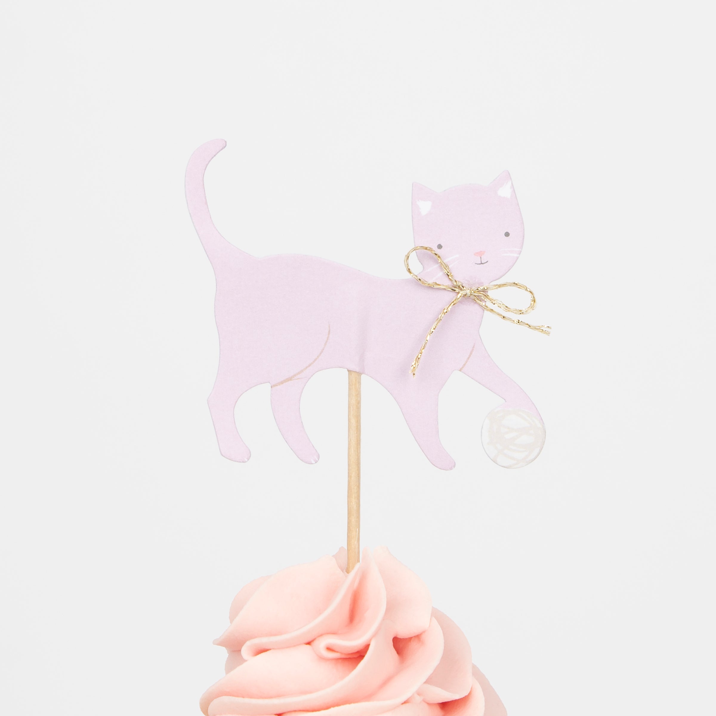 No cat party will be complete without our cat cupcakes, with cupcake toppers and cupcake cases.