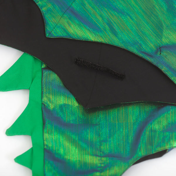 Dragon Costume Image5